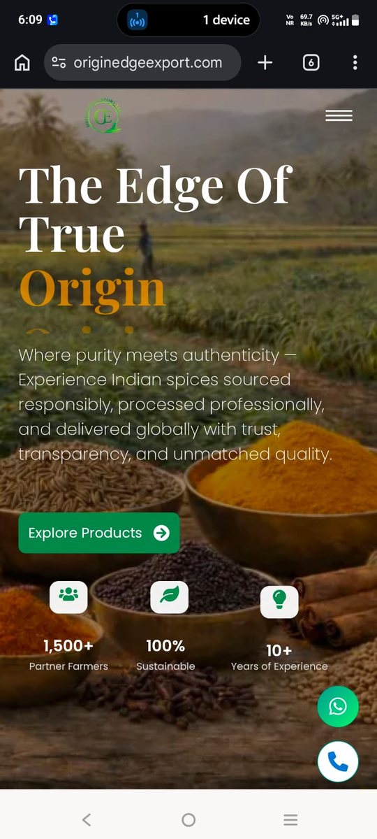 OriginEdge Export website homepage on mobile